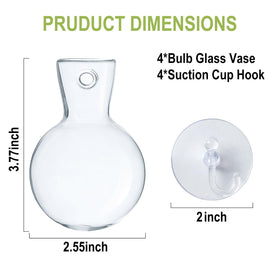 Wangsdjy bulb glass vases highlighting root growth through clear design