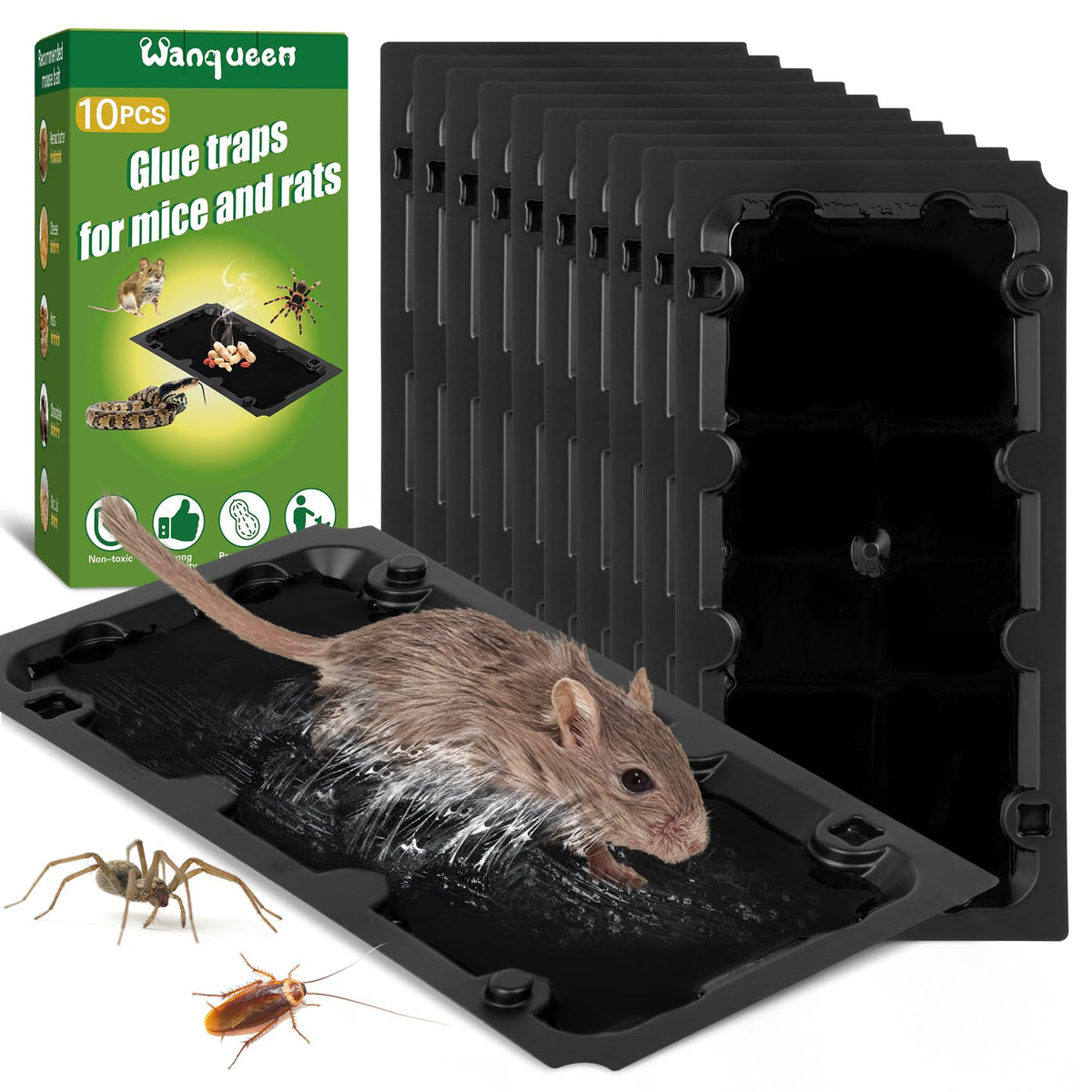 Wanqueen 10-pack sticky mouse trap front view for quick indoor pest control