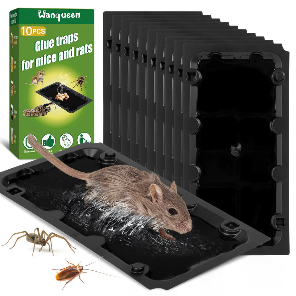 Wanqueen 10-pack sticky mouse trap front view for quick indoor pest control