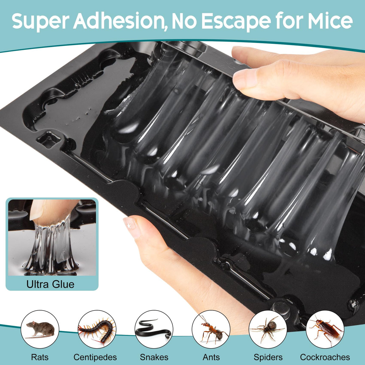 Wanqueen sticky trap adhesive detail emphasizes durable, clean glue