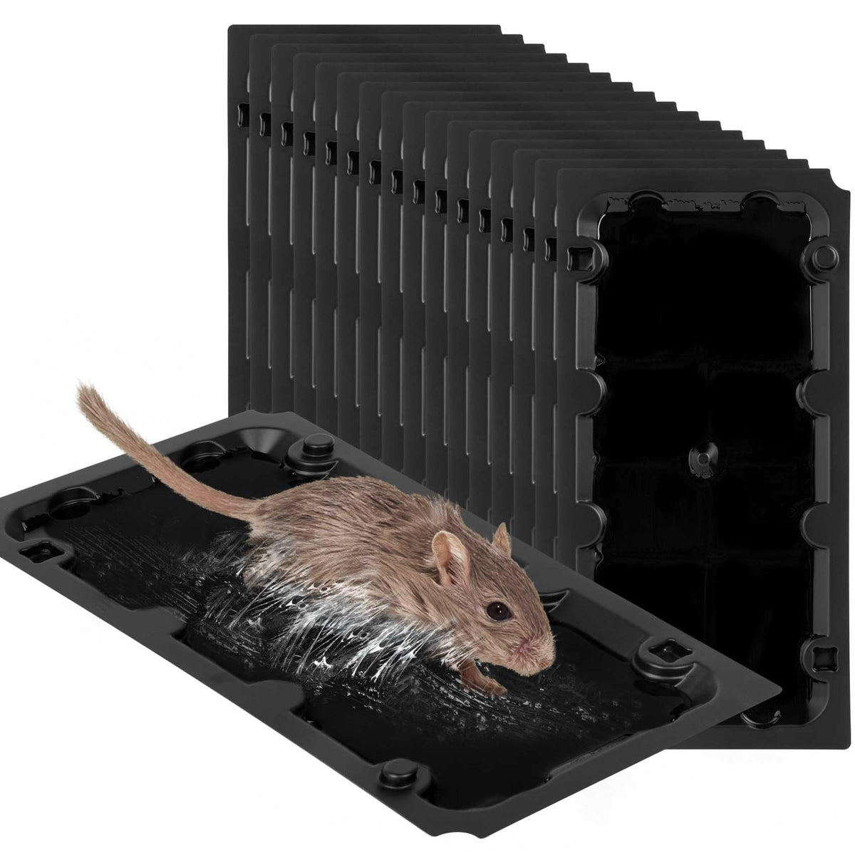 Wanqueen 20-pack sticky mouse trap ready for indoor use.