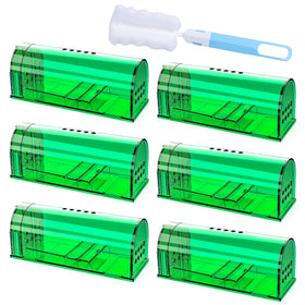 Wanqueen 6-pack live mouse trap with bait compartment for quick setup