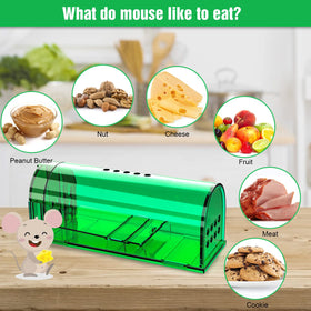Compact Wanqueen mouse trap fits small spaces