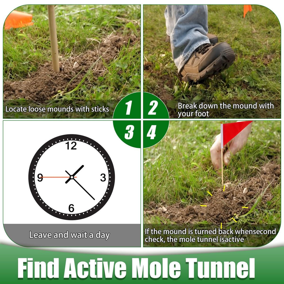 Wanqueen easy-set mole trap simplifies installation without digging