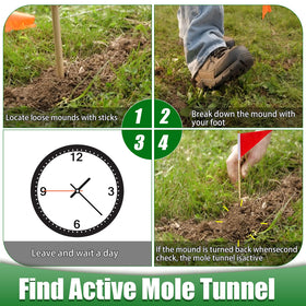 Wanqueen easy-set mole trap simplifies installation without digging