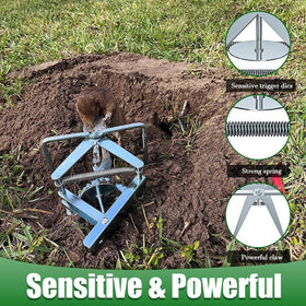 Wanqueen fast-action mole trap captures moles swiftly in lawns and fields