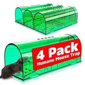 Wanqueen humane mouse trap with bait-compartment ready for safe indoor catch