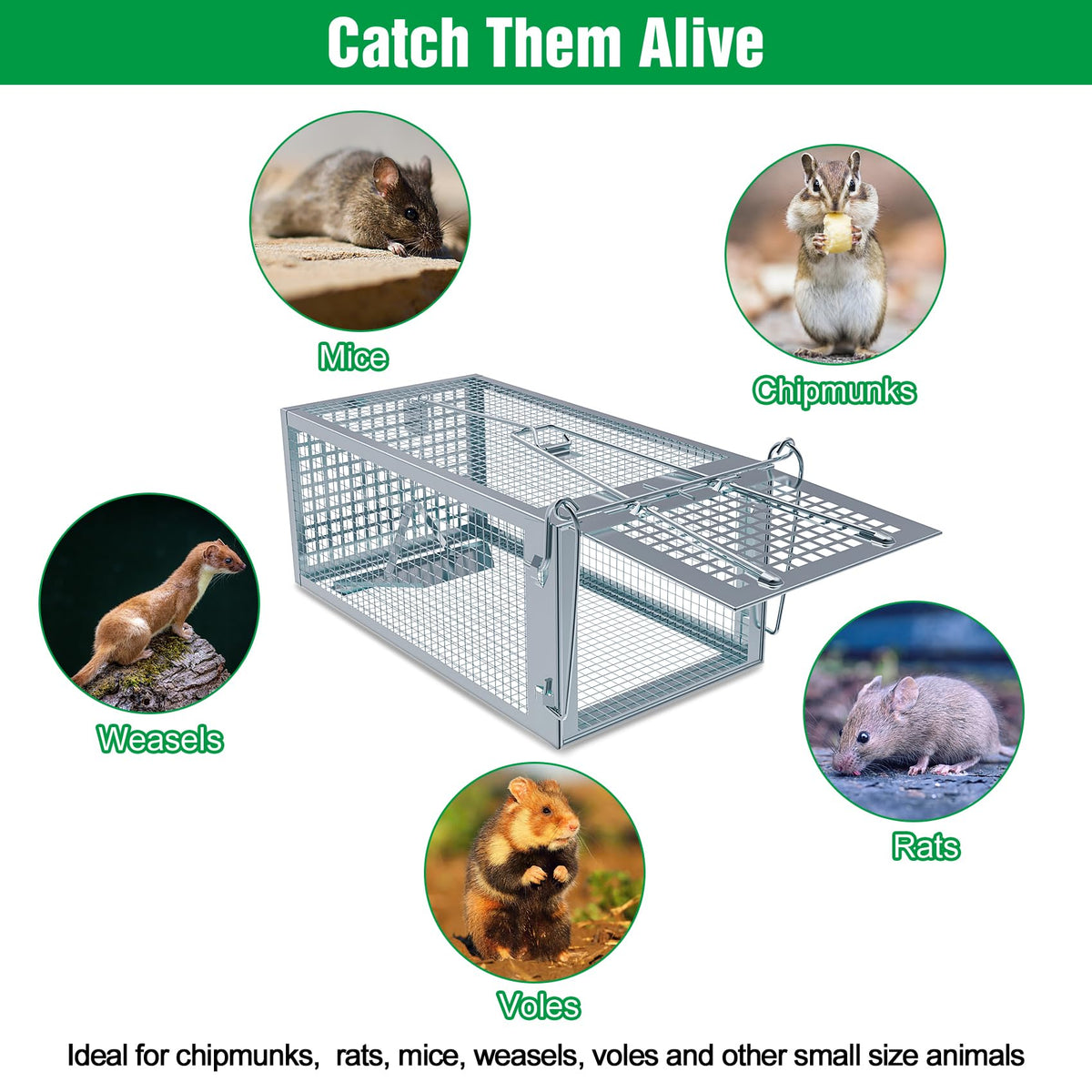 Wanqueen rat trap ready for indoor and outdoor installation