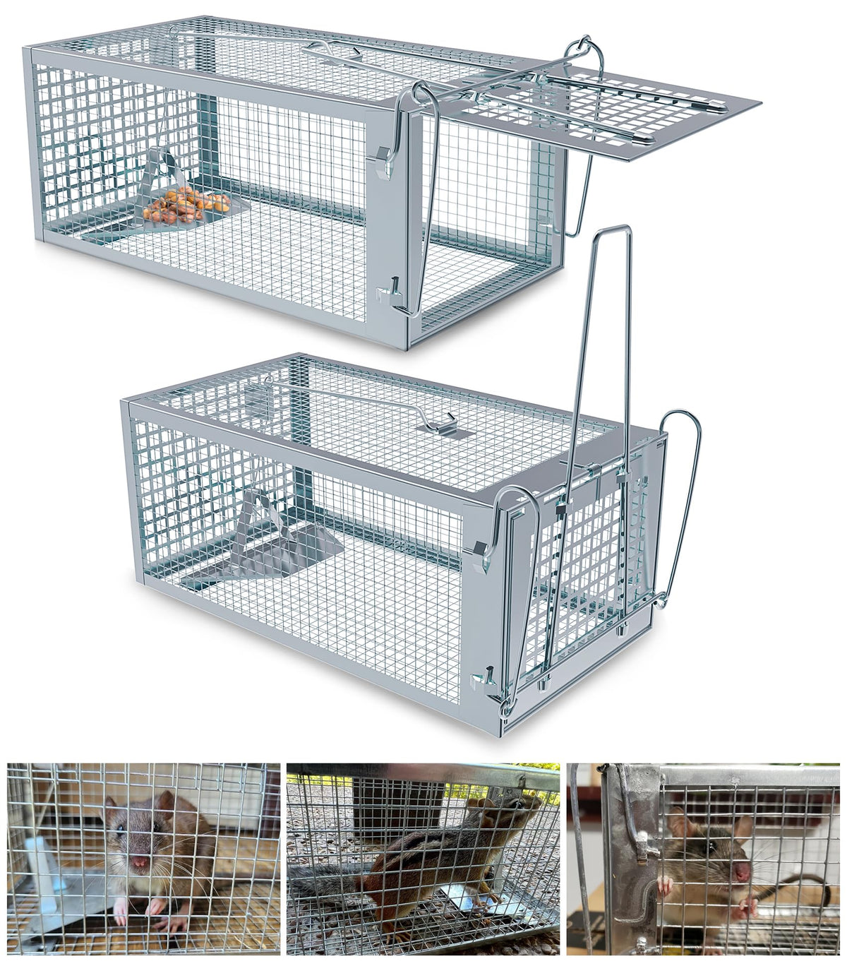 Wanqueen humane rat trap outdoor cage showing entry-friendly cuboid design for safe capture