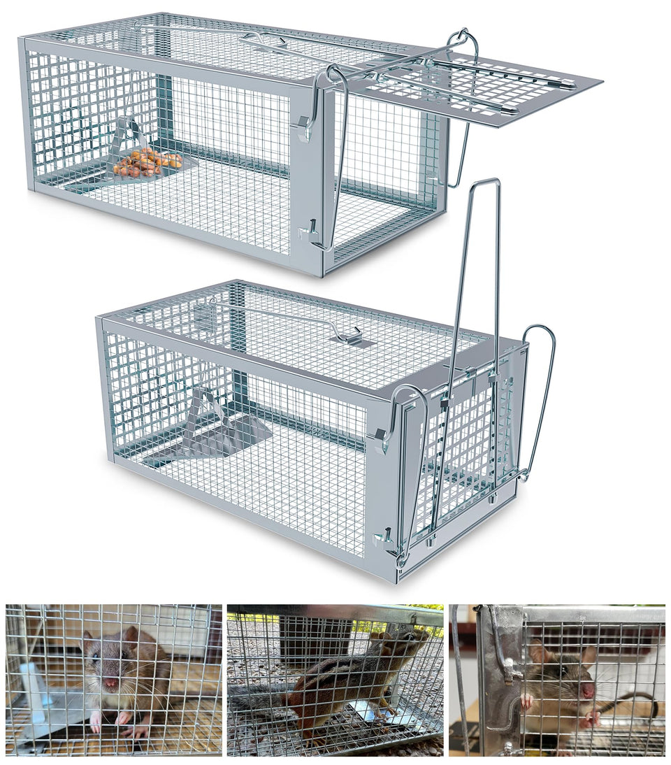 Wanqueen humane rat trap outdoor cage showing entry-friendly cuboid design for safe capture