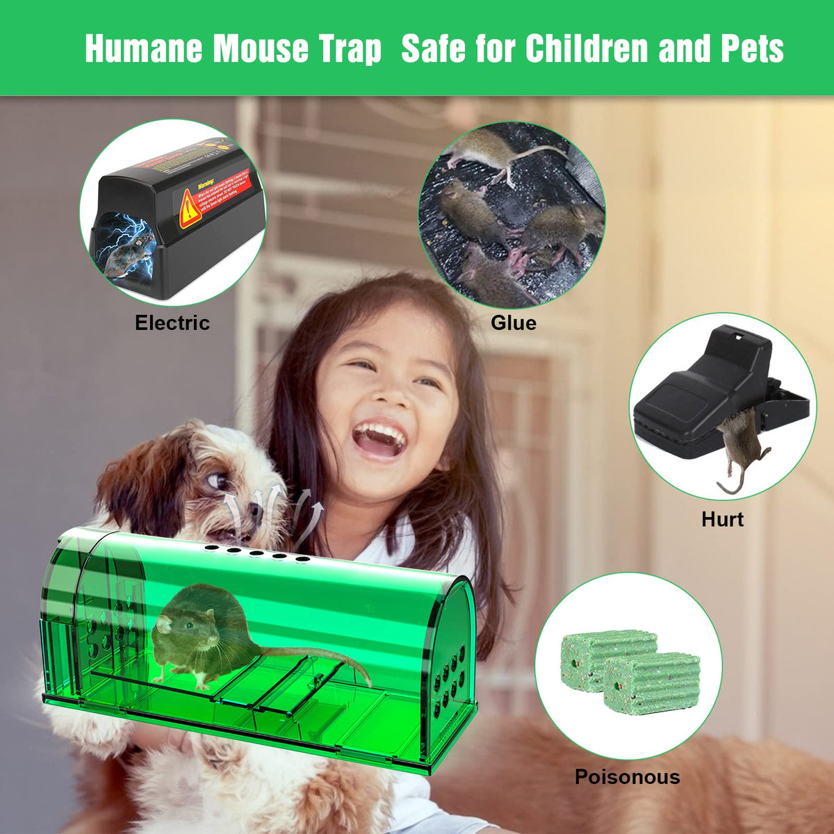Humane Wanqueen trap suitable for indoor or outdoor placement