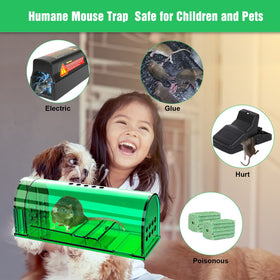 Humane Wanqueen trap suitable for indoor or outdoor placement