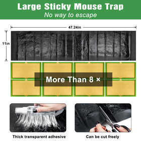 Wanqueen indoor-outdoor trap setup in multiple spaces for flexibility
