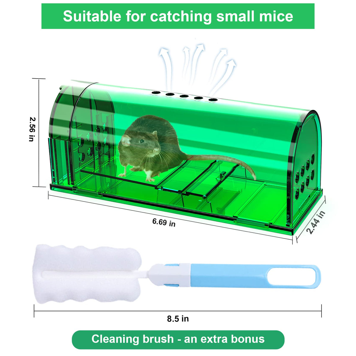 Wanqueen live mouse trap ready for easy indoor use