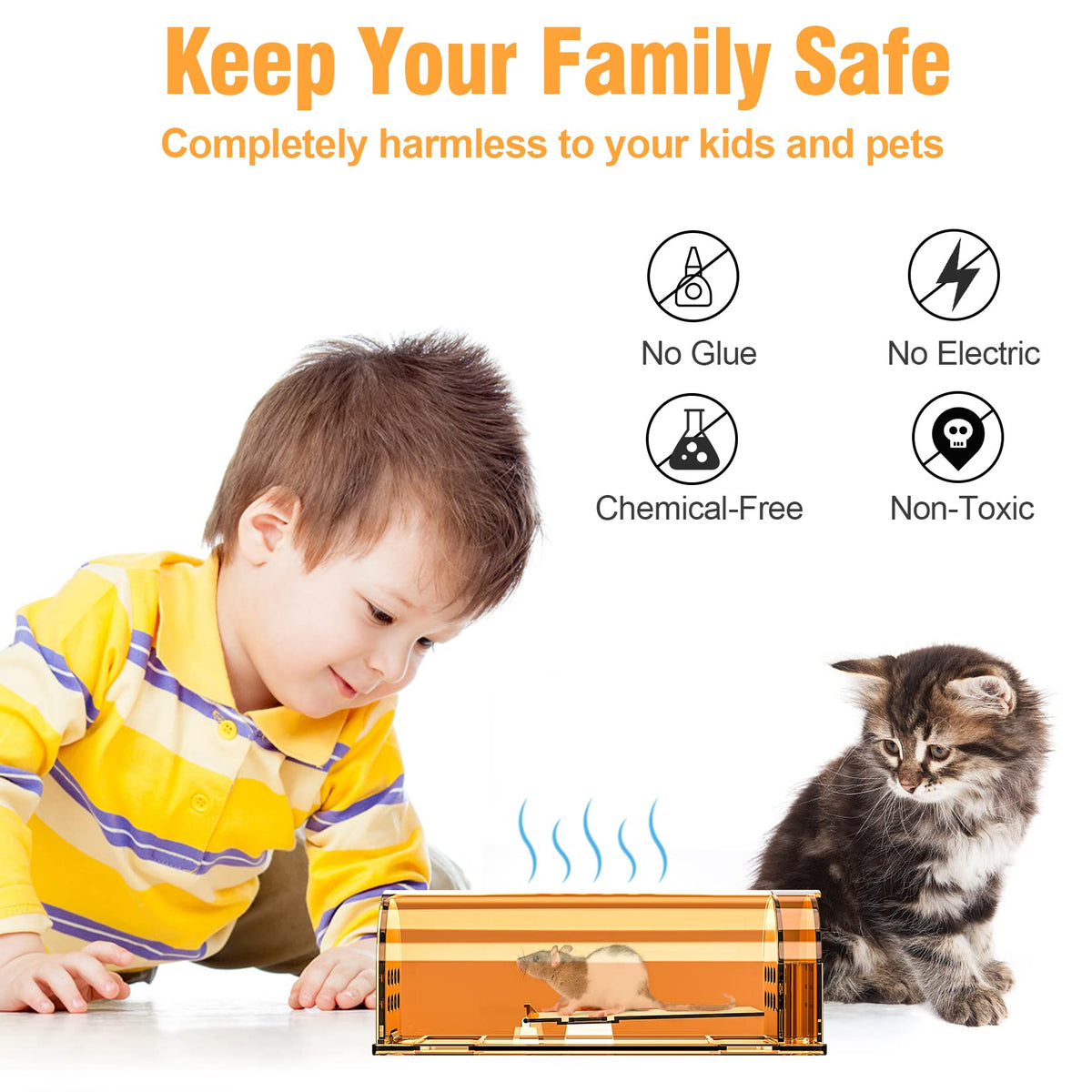 Wanqueen live-mouse trap showing bait placement for effective catching
