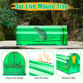 Wanqueen indoor-use trap shown in home setting