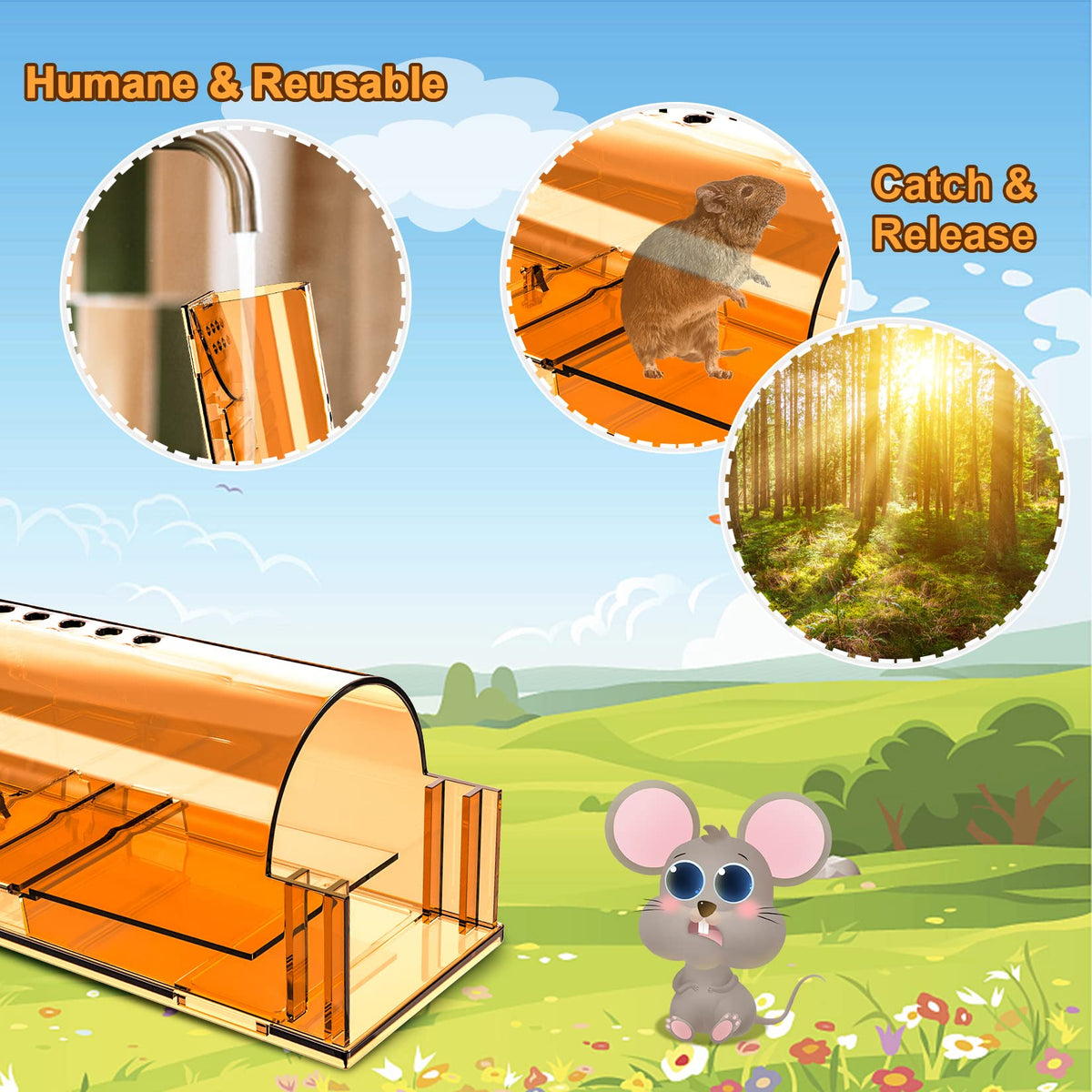 Wanqueen reusable mouse trap with cleaning brush included