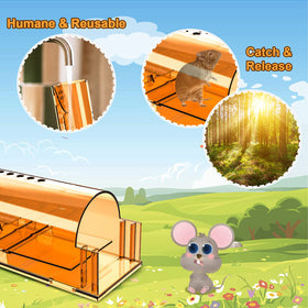 Wanqueen reusable mouse trap with cleaning brush included