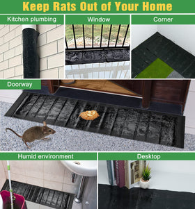 Wanqueen glue trap setup tips including cleaning with mineral or olive oil.