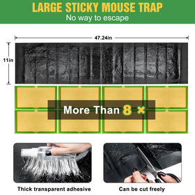 Wanqueen trap suited for indoor or sheltered outdoor placement across settings.