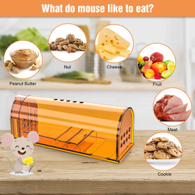 Wanqueen waterproof mouse trap suitable for indoor or outdoor use