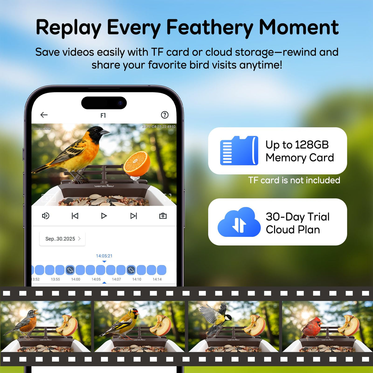 Wansview bird alert notifications instantly notify visitors.