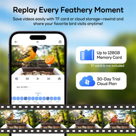 Wansview bird alert notifications instantly notify visitors.