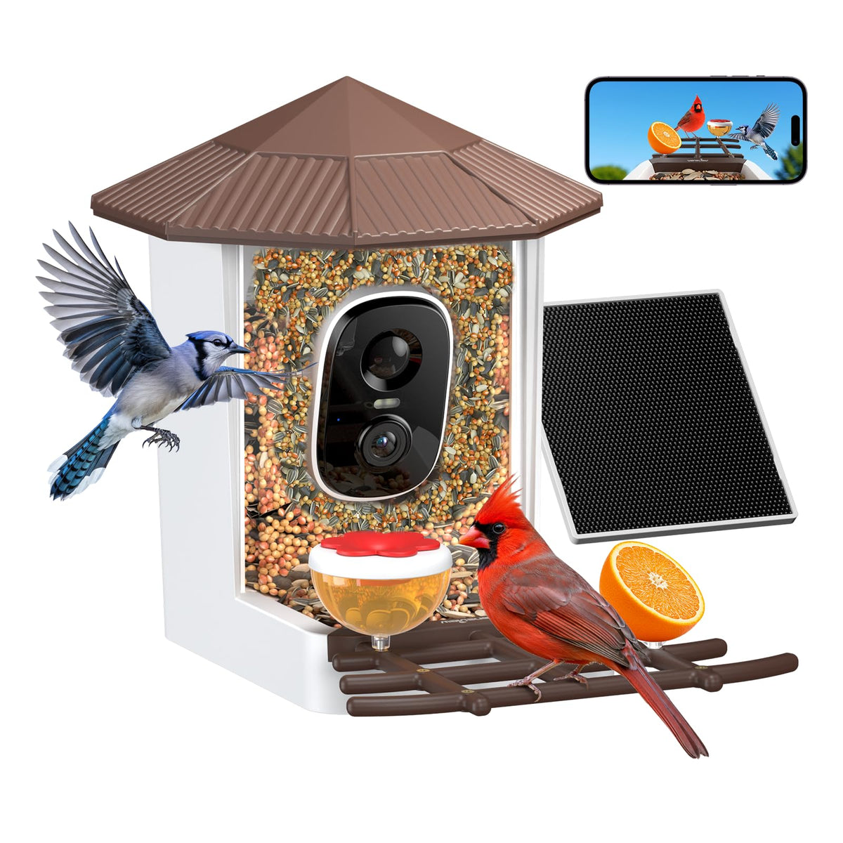 Wansview bird feeder with camera, front view, solar panel, and weatherproof housing.