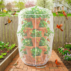 Warmfarm bird barrier keeps birds away from strawberries and vegetables in everyday garden use