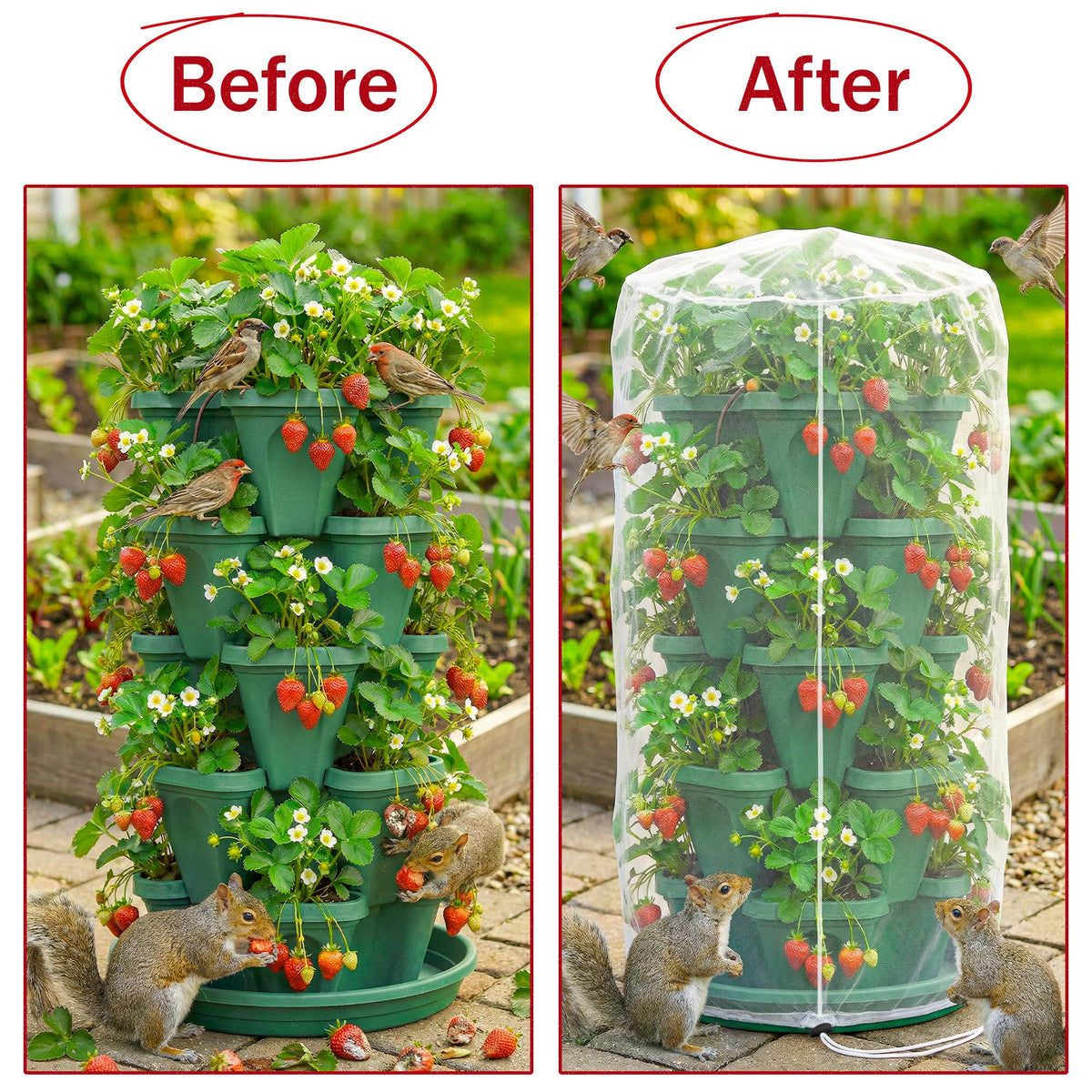 Warmfarm durable nylon mesh provides long-lasting protection for strawberries and other crops