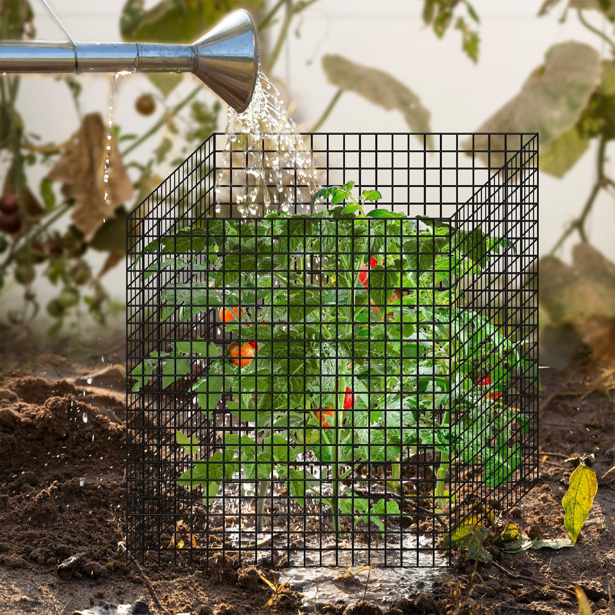 Warmfarm ground stake kit secures cages firmly around young plants.