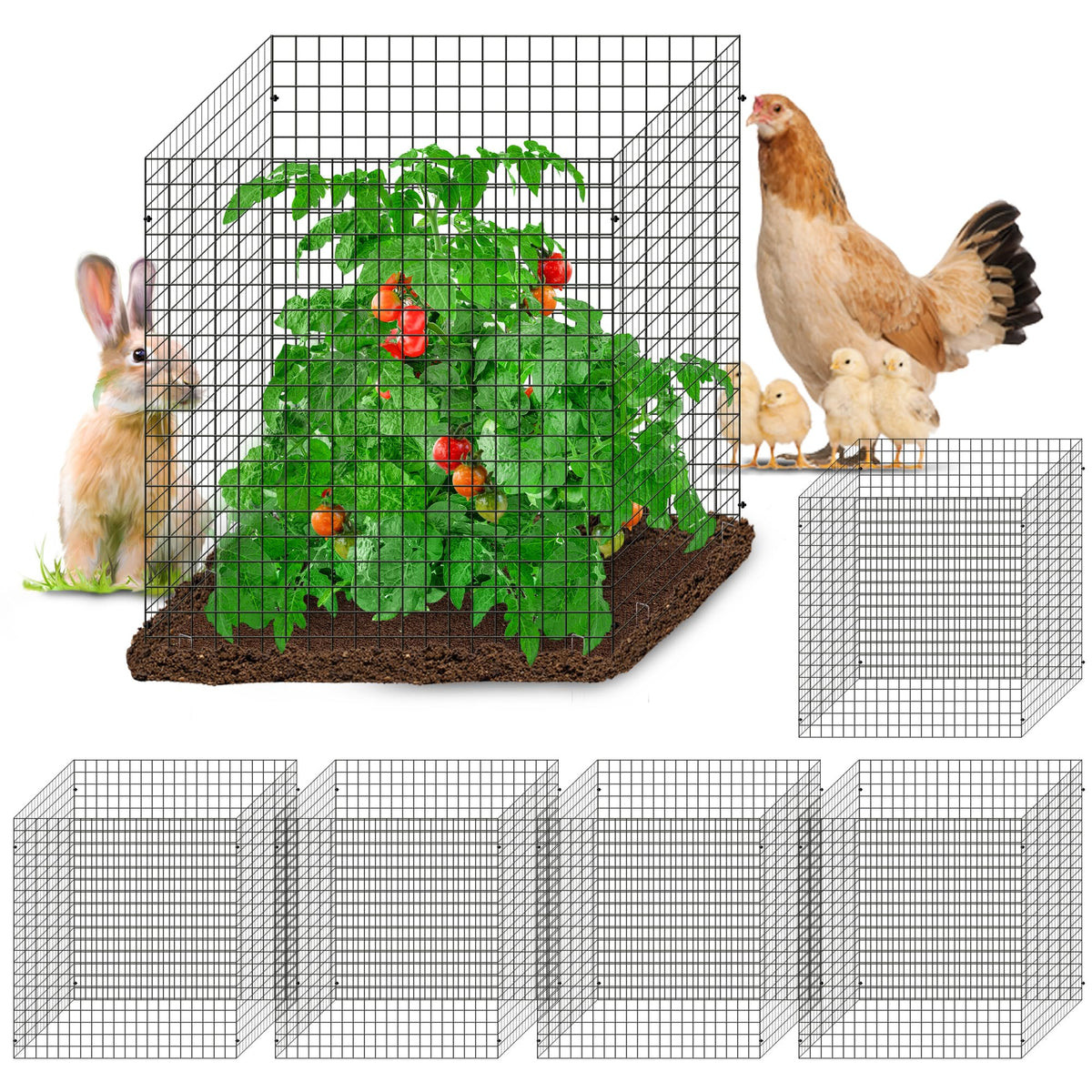 Warmfarm plant protector panel blocks pests while keeping air flow to seedlings.