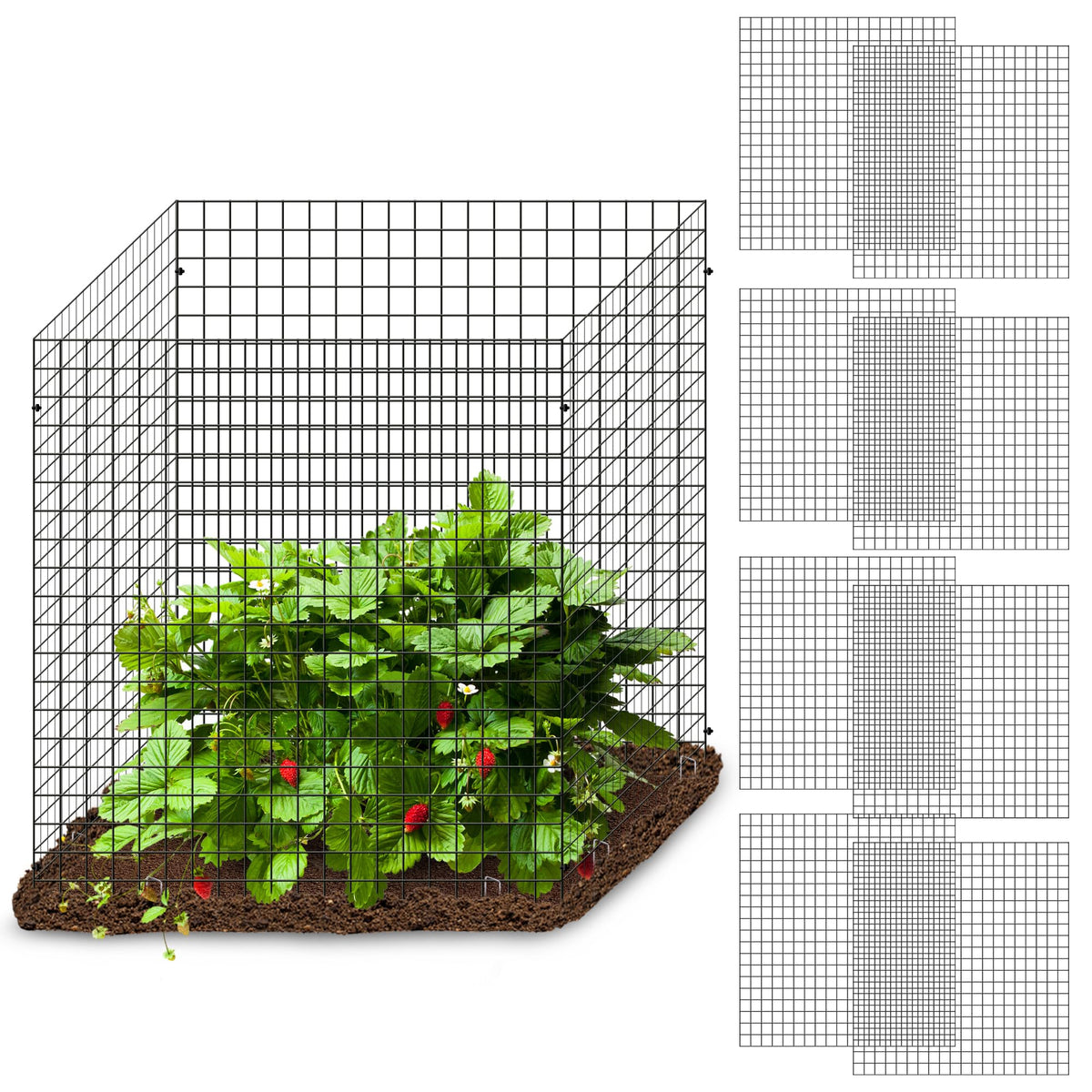 Warmfarm plant protectors kit with 12 square cages shields seedlings from pests.