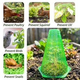 Warmfarm rainwater-top-opening directs rain to roots, reducing watering tasks.