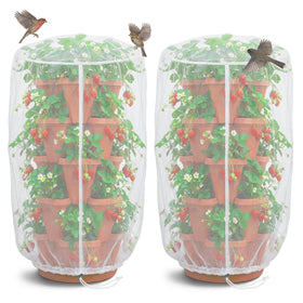 Warmfarm strawberry planter netting over berries to guard against pests while letting air through