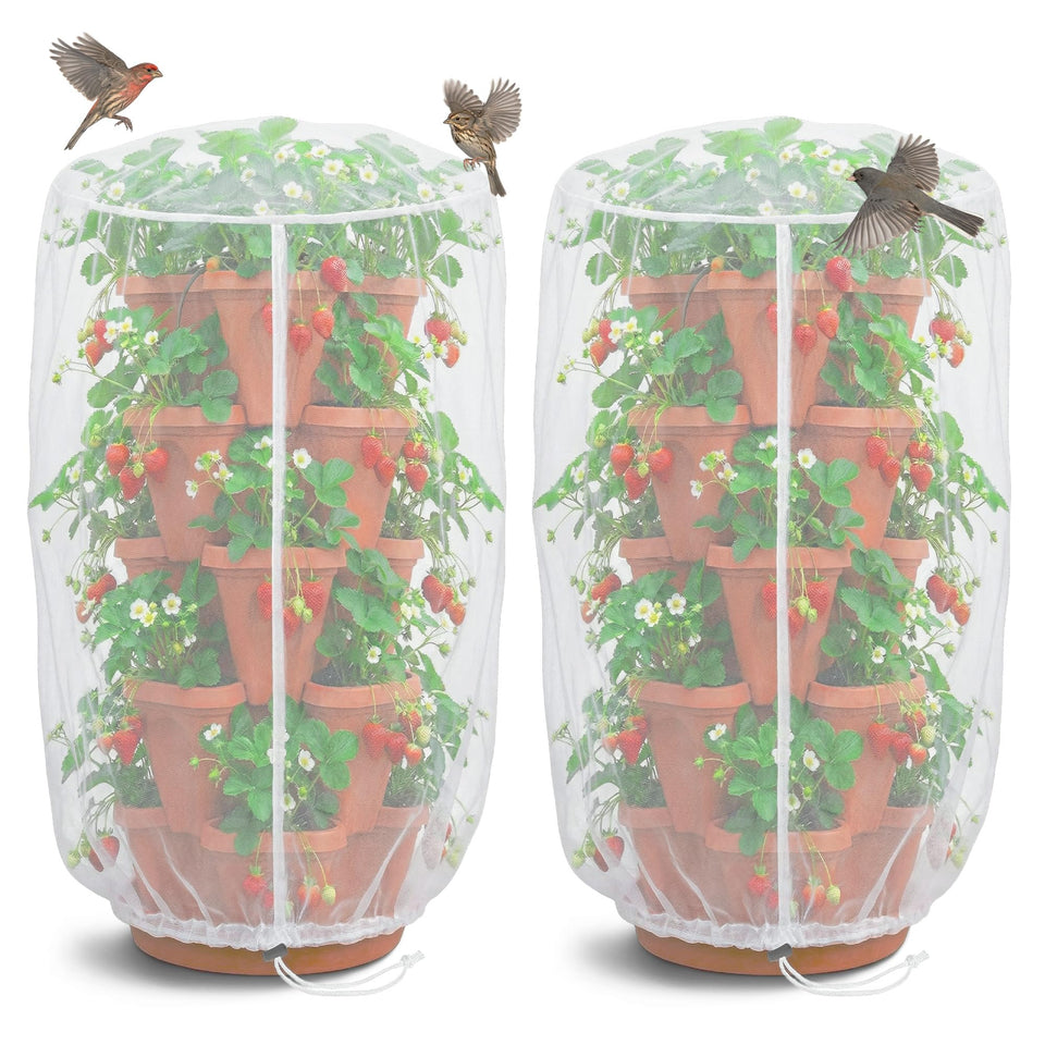 Warmfarm strawberry planter netting over berries to guard against pests while letting air through