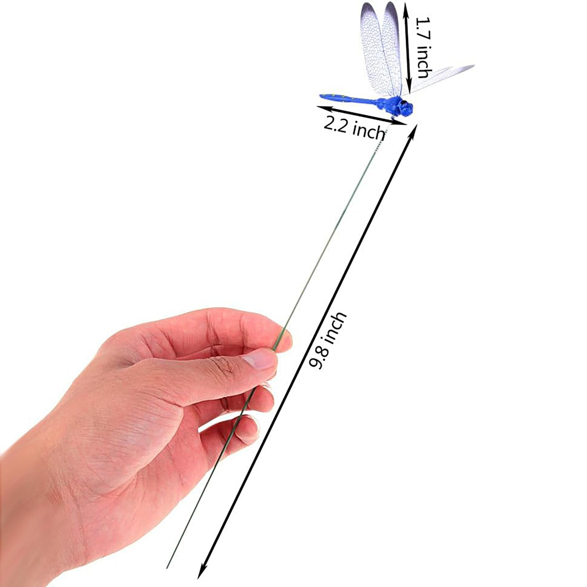 Warmshine dragonflies show size and placement options in your garden