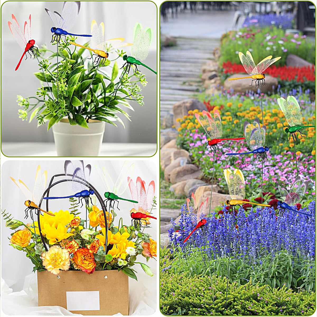 Warmshine garden display with multicolor dragonflies brightens walls and beds