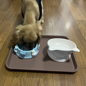 WATANIYA PET boot tray multi-use for home, car, and plant pots.