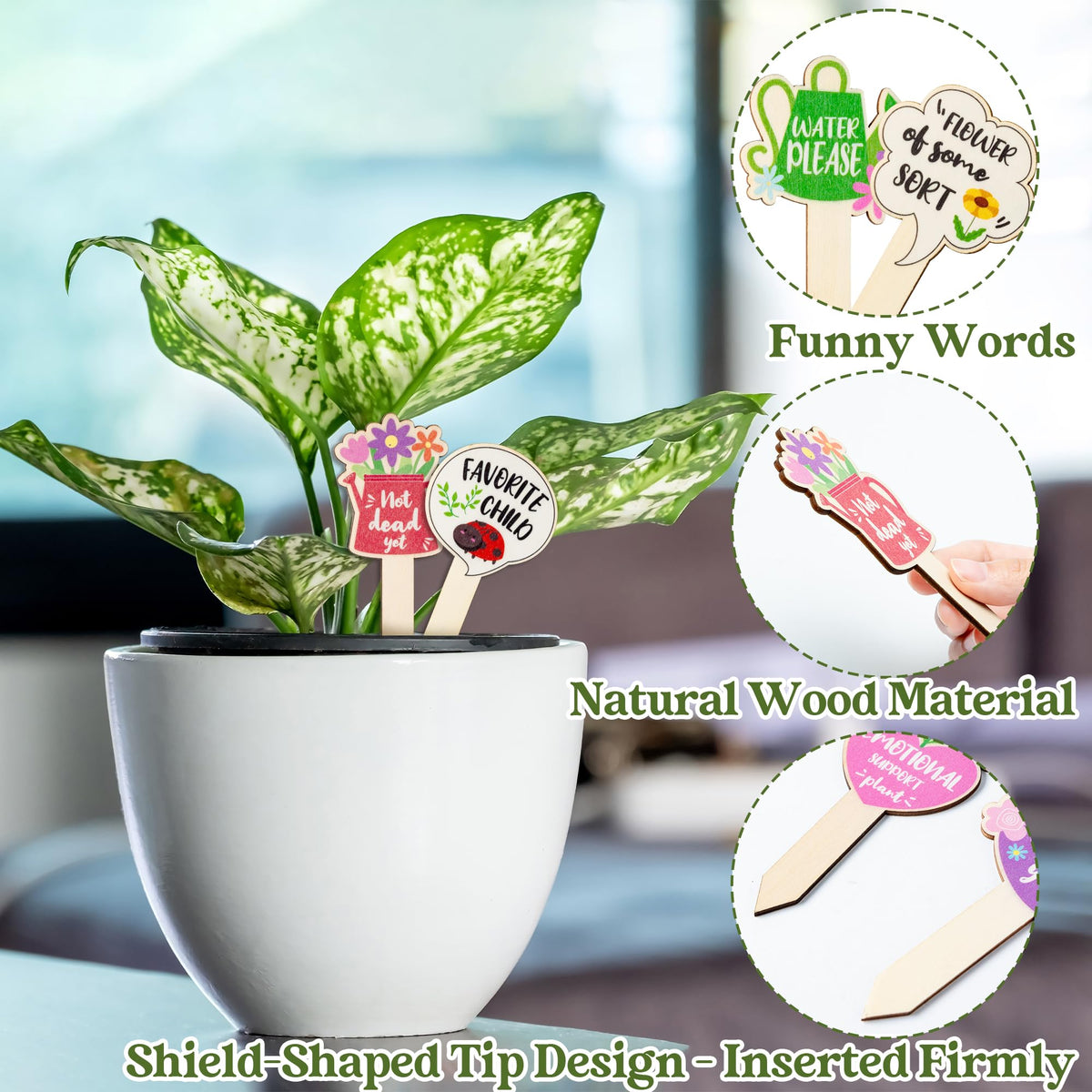 Funny WATINC plant signs with quotes add character to your pots.