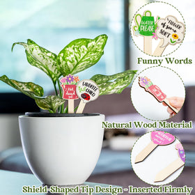 Funny WATINC plant signs with quotes add character to your pots.