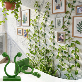 WATMTIN adjustable handle enables easy direction of vines.