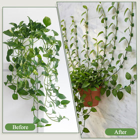 WATMTIN wall clip on a wall applying to guide climbing plants.