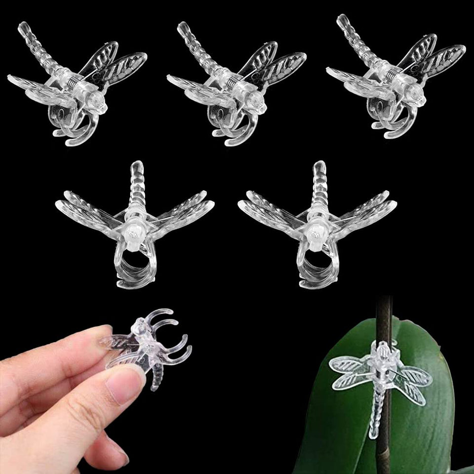 Watris Veiyi dragonfly clip transparent design secures orchid stems gently