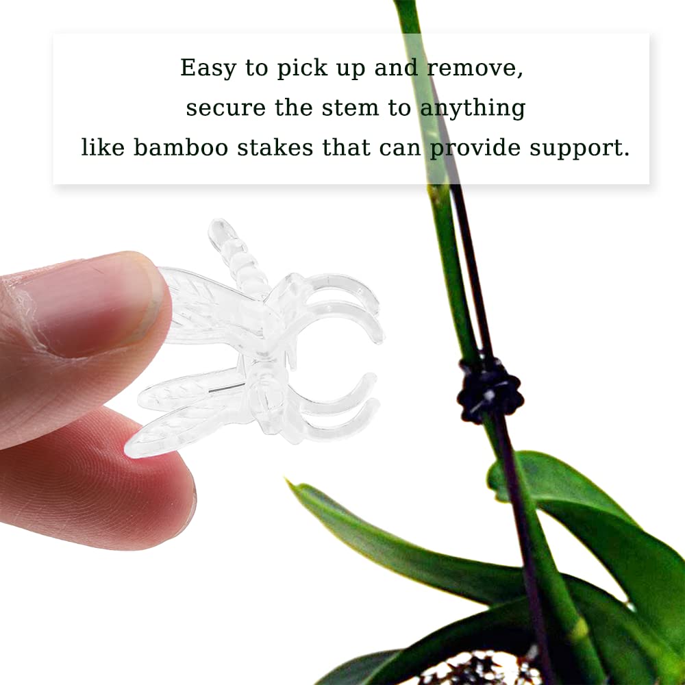 Watris Veiyi dragonfly clip transparent design adds subtle support in a garden