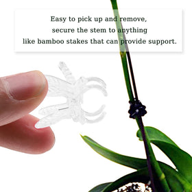 Watris Veiyi dragonfly clip transparent design adds subtle support in a garden