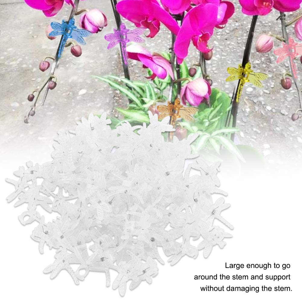 Watris Veiyi orchid-stem clip keeps stems upright and healthy