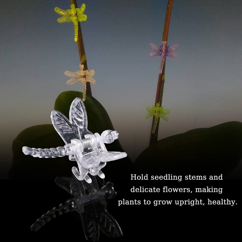 Watris Veiyi plant-support clip ornamental dragonfly guides vine growth