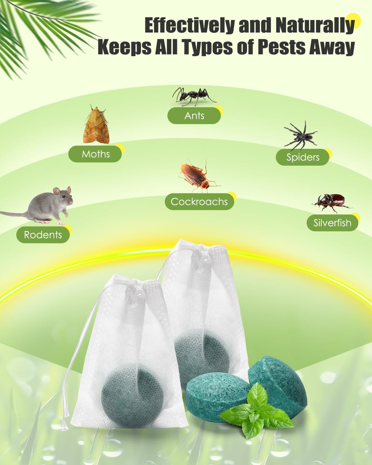 Waysla indoor-outdoor rodent deterrent applied in kitchens and garages.