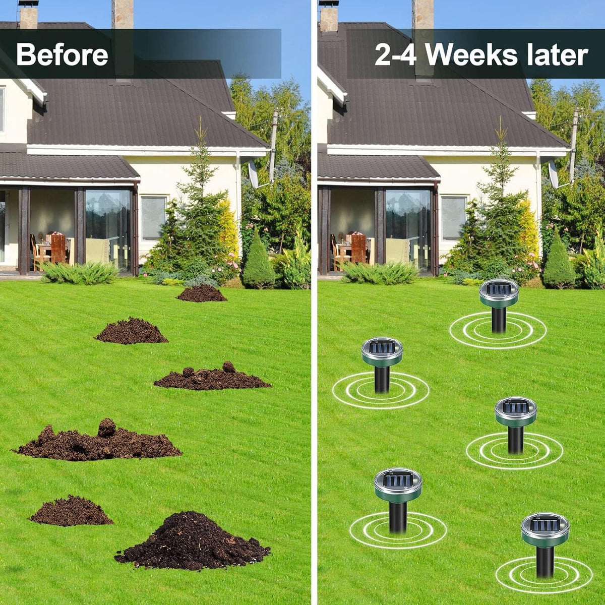 Waysla ultrasonic pulses every 20 seconds deter burrowing pests